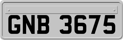 GNB3675