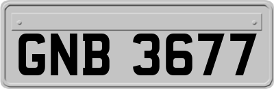 GNB3677