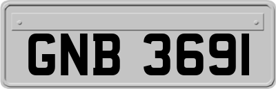 GNB3691