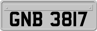 GNB3817