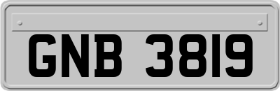GNB3819