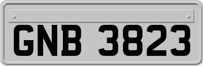 GNB3823