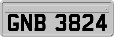 GNB3824
