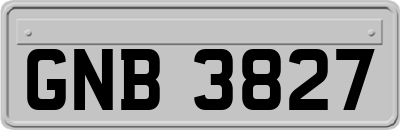 GNB3827