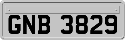 GNB3829