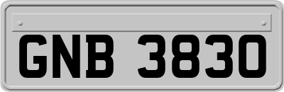 GNB3830