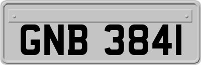 GNB3841