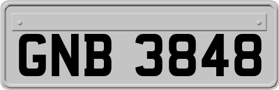 GNB3848