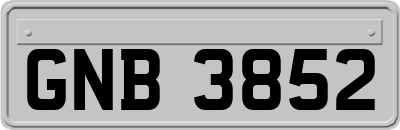 GNB3852