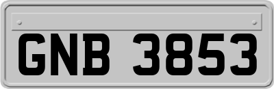 GNB3853