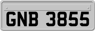 GNB3855
