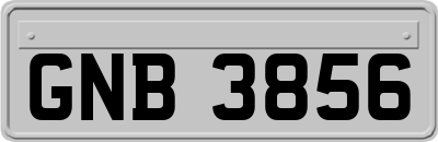 GNB3856