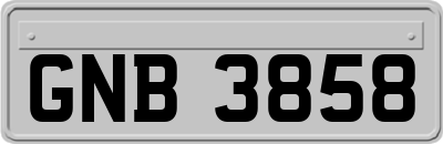 GNB3858