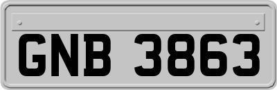 GNB3863