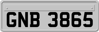 GNB3865