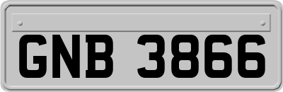 GNB3866