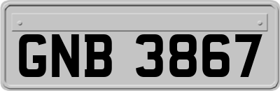 GNB3867