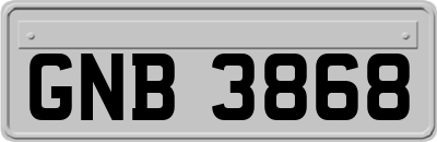 GNB3868