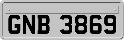 GNB3869