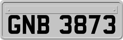 GNB3873