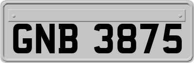 GNB3875