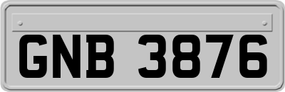 GNB3876