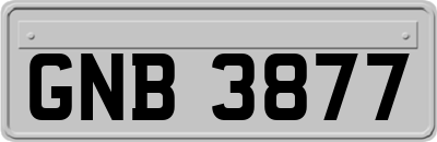 GNB3877