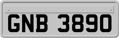 GNB3890