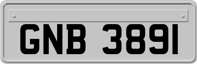 GNB3891
