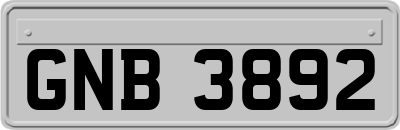 GNB3892