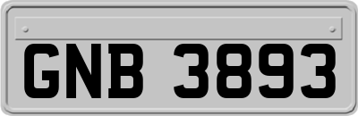 GNB3893
