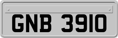 GNB3910