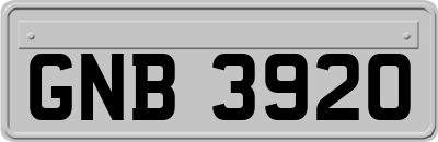 GNB3920