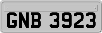 GNB3923