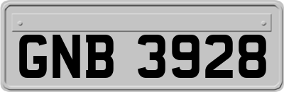 GNB3928