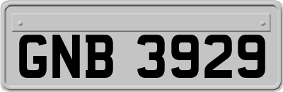 GNB3929