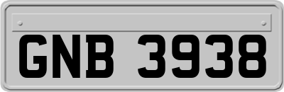 GNB3938