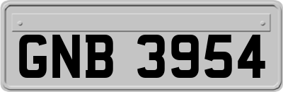 GNB3954