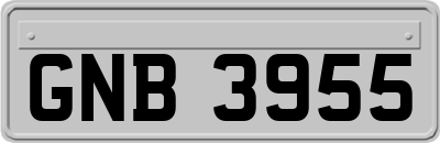 GNB3955