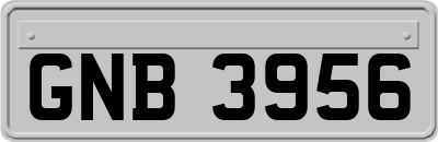 GNB3956