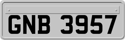 GNB3957