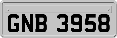GNB3958
