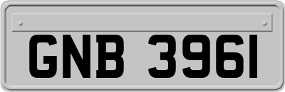 GNB3961