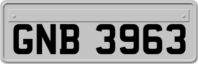 GNB3963