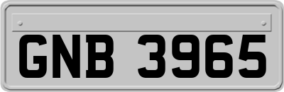 GNB3965