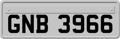 GNB3966