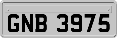 GNB3975
