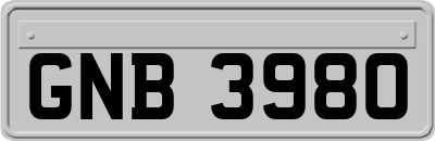 GNB3980