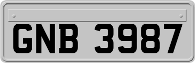 GNB3987