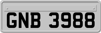 GNB3988